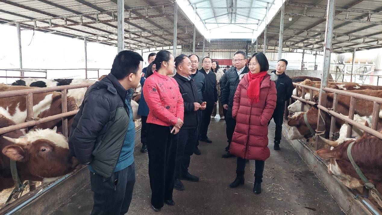 202303021629214460.jpg 202303021629214460.jpg